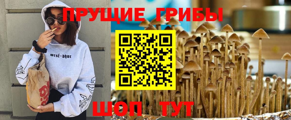 Галлюциногенные грибы Psilocybine cubensis  Вход с VPN  Дербент 